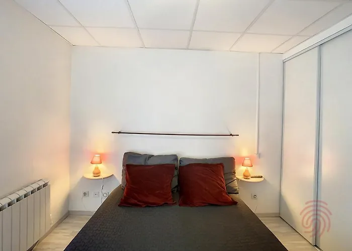 Apartamento F2 Equipe Avec Balcons, Ascenseur Et Wi-fi, Proche Des Thermes De - Fr-1-451-141 *